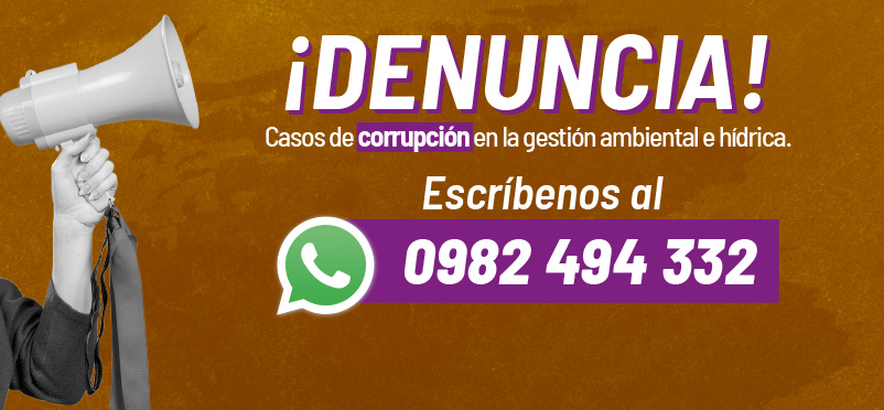 Más información aquí