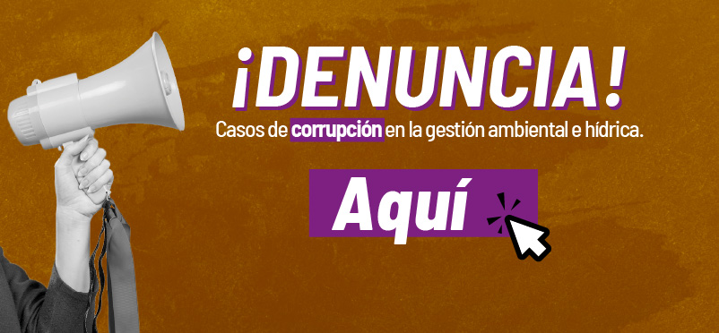 Más información aquí