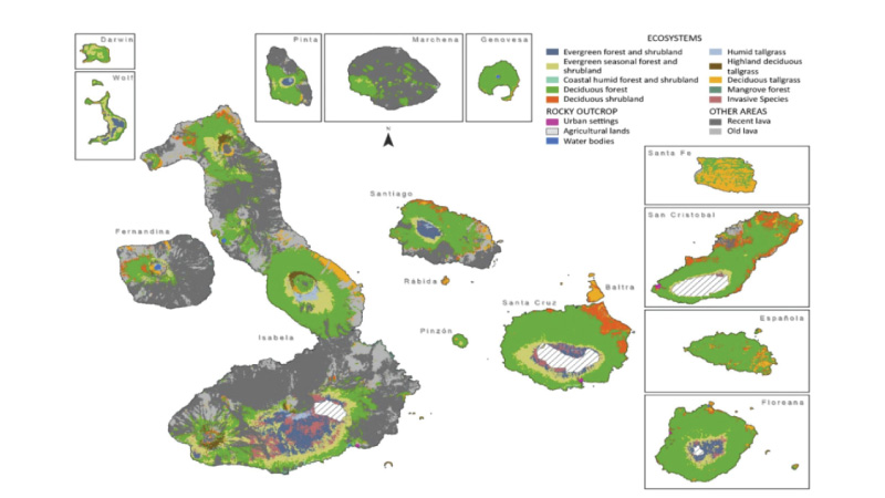 prueba fuga resistirse Estudio identifica áreas de vegetación invasiva en las islas Galápagos –  Ministerio del Ambiente, Agua y Transición Ecológica