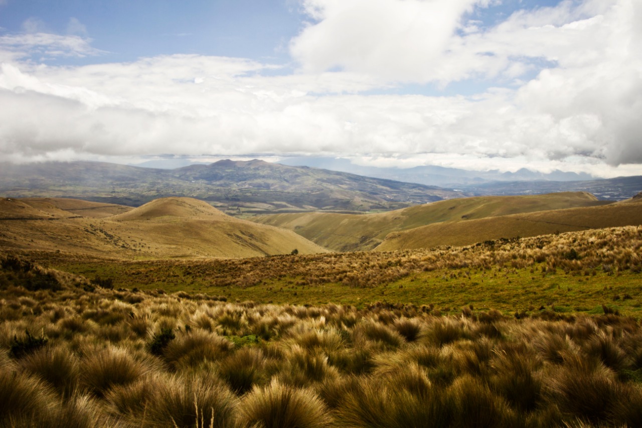 Programa Carbono Cero se pone en marcha en el Ecuador