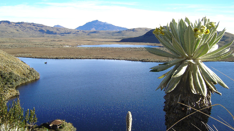 Info El Ángel ｜Espejo - Carchi, Ecuador